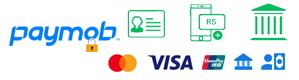 PayFast payment logo