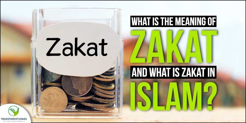 zakat essay in english