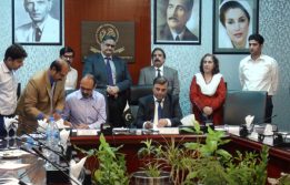 Bisp mou