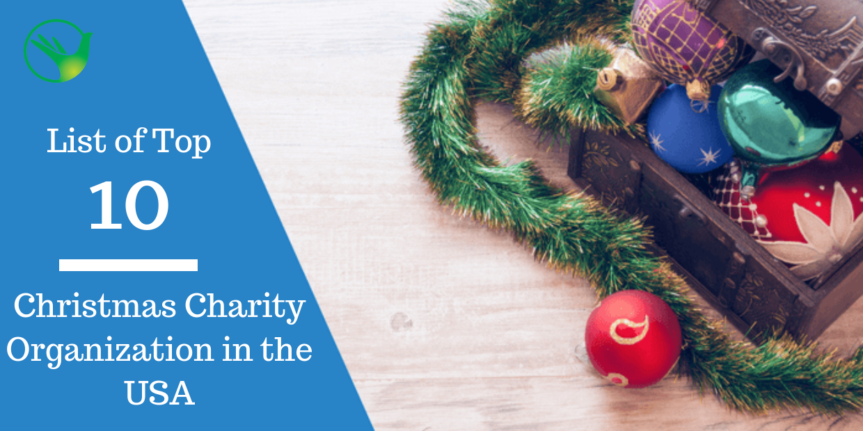 List of Top 10 Christmas Charity Organizations in the USA