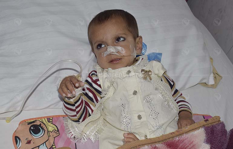 Zarwa Bibi