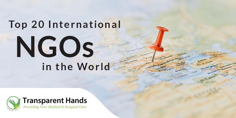 International NGOs in the World