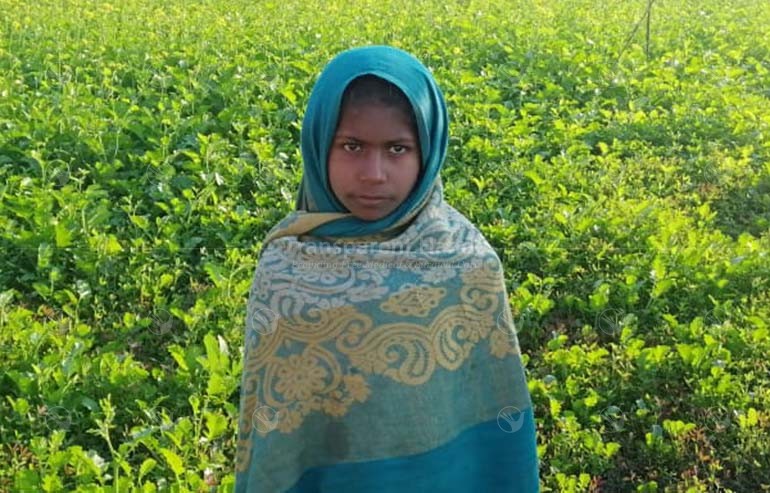 Mehreen Bibi