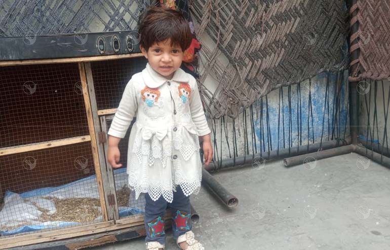Noor Qasim