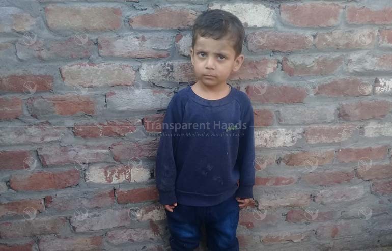 Syed Subhan Ali
