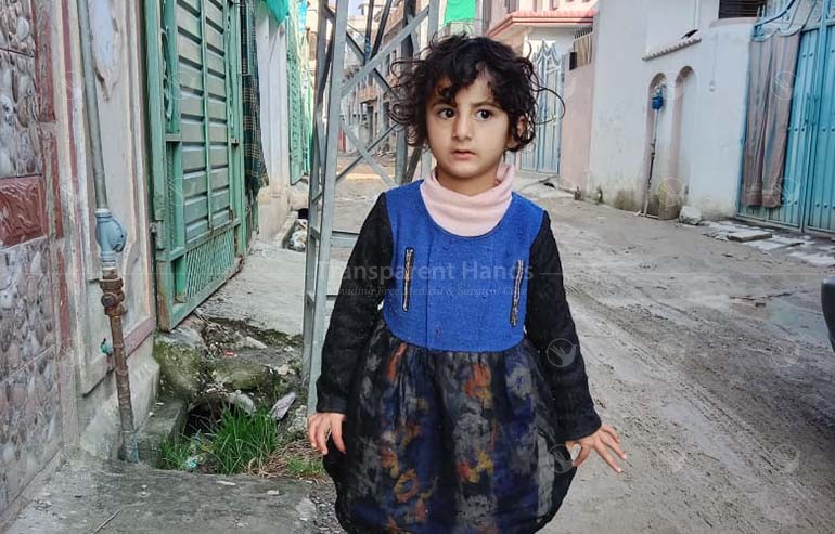 Areena Shah