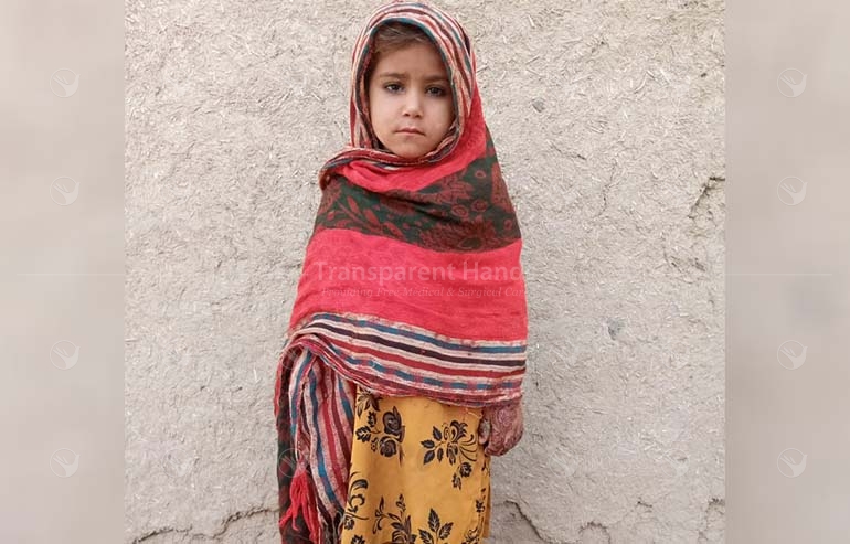 Aina atta ur rehman pre image