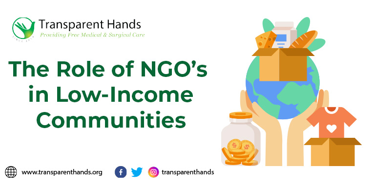 role of ngos in society