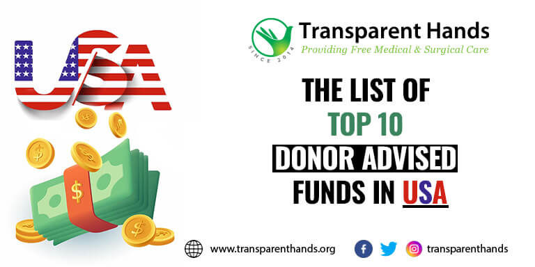 donor-advised funds in the USA