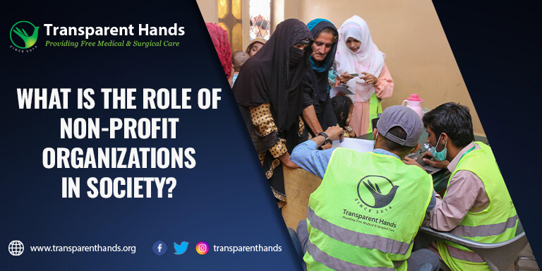 Role of Non-Profit Organizations in Society