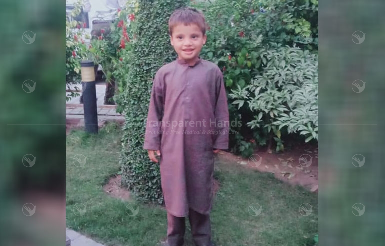 Ayyan Gull pre image
