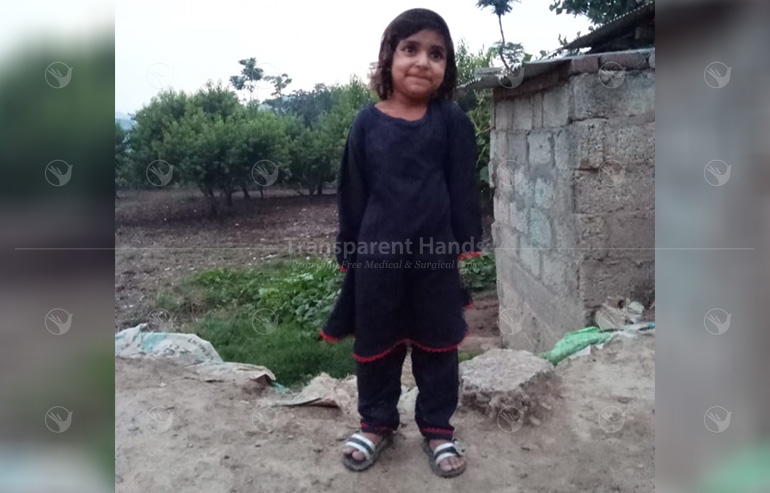 Marwa Bibi pre image