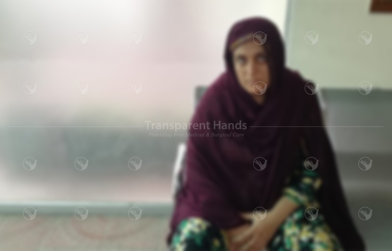 Amna Akbar pre image