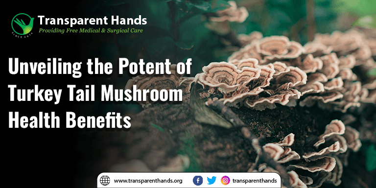 Turkey Tail mushrooms