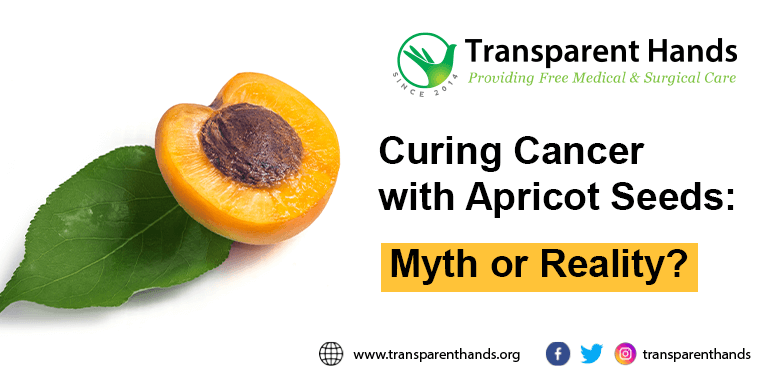 apricot seeds for cancer