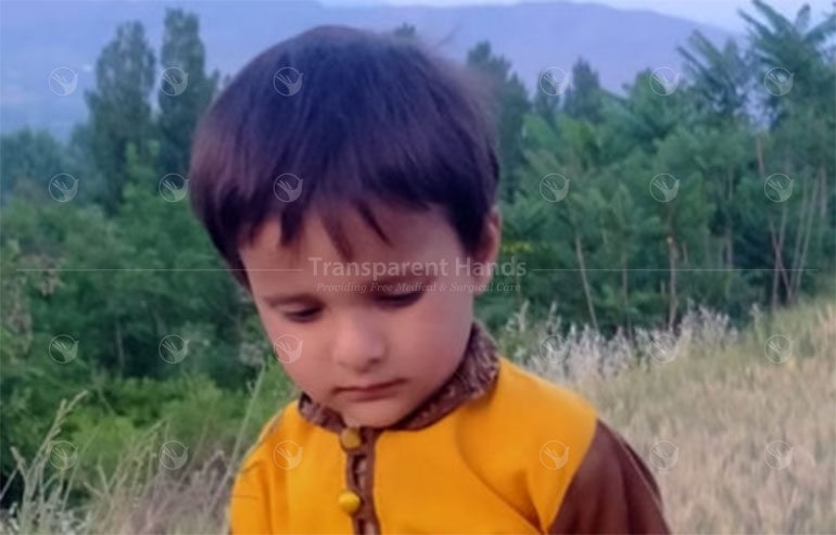 Ajwa Pre image