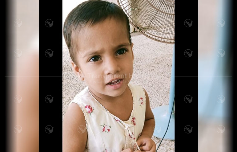 Anaya pre image