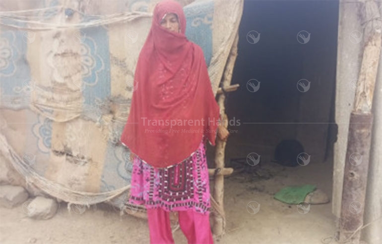 Jameela bibi pre image