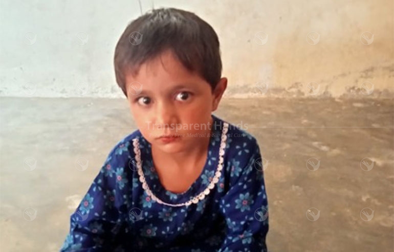 Zareena bibi pre image