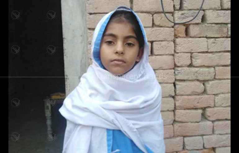 Safina pre image