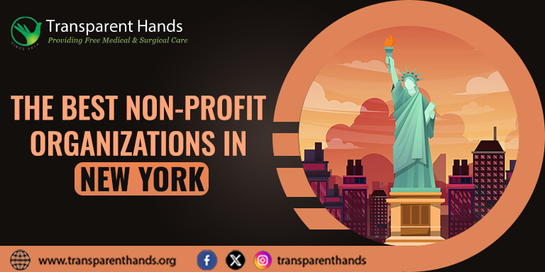 non-profit organizations in New York