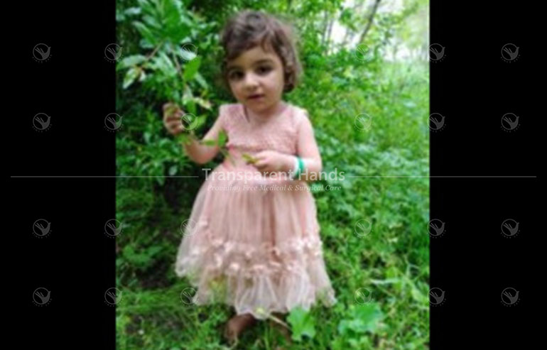 Aira khan pre image