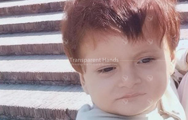 Amna bibi pre image