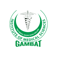 Gambat Hospital