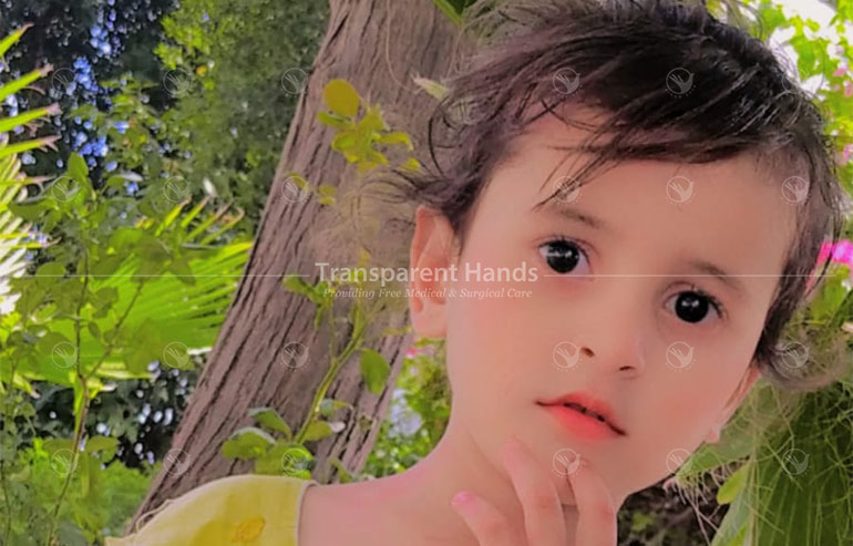 ilham bibi pre image