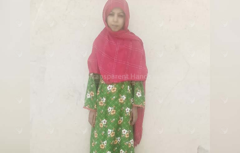 zeenat bibi archive
