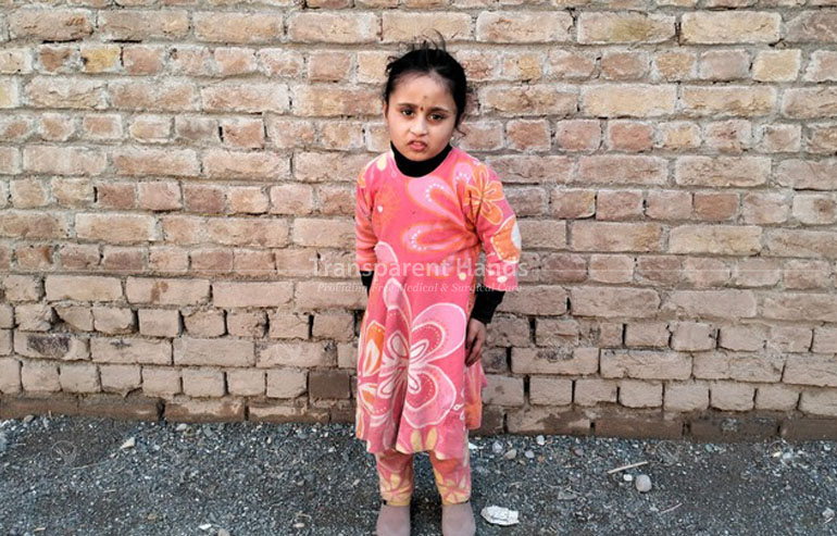 Romaisa shah pre image