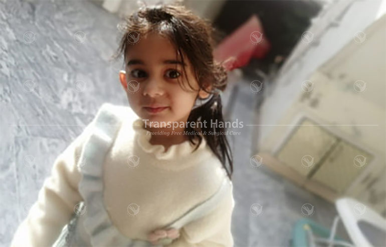 Hatim alam pre image