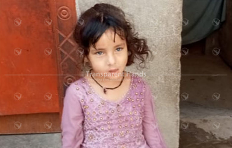Ayesha begum pre image