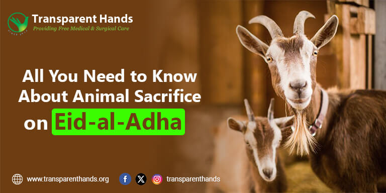 Animal Sacrifice