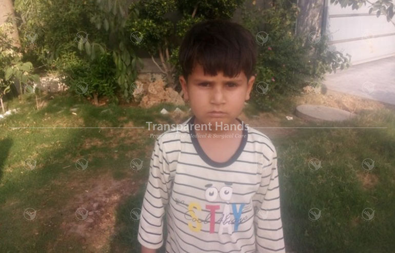 Aryan ali pre image