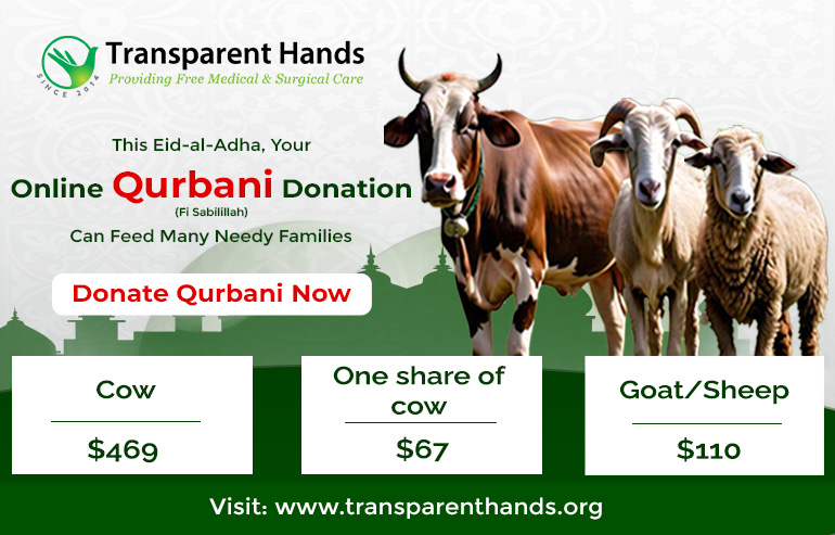 Qurbani Animals for Qurbani Donations