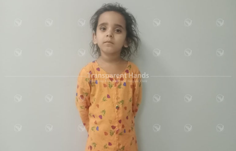 Zainab hafeez pre image