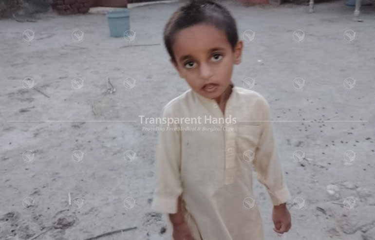 Hammad ali pre image