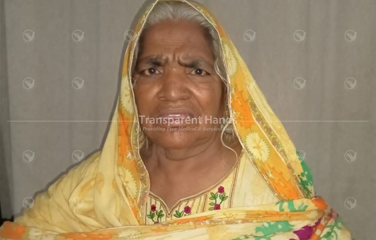 Sharifan Bibi pre image