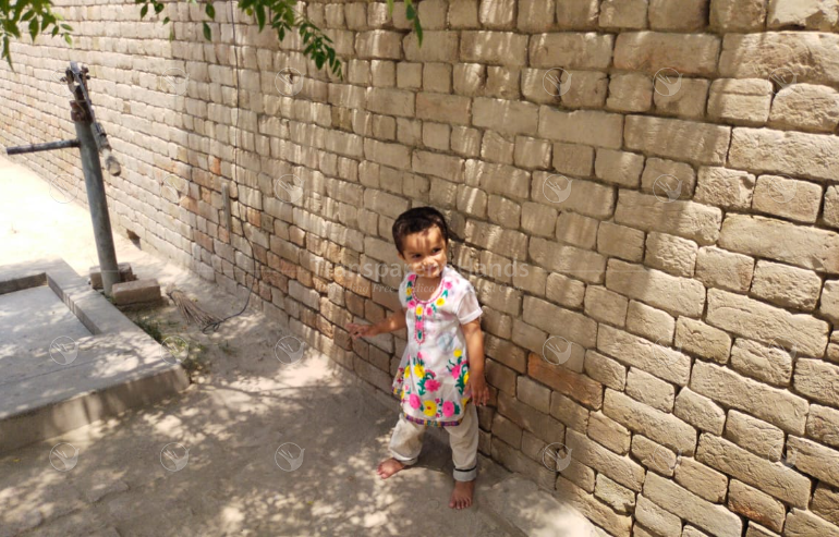 Eshaal Fatima pre image