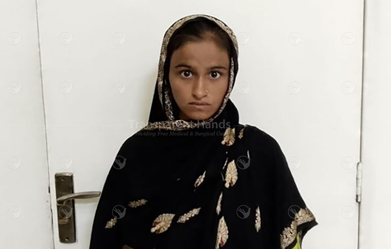 Sadia pre image