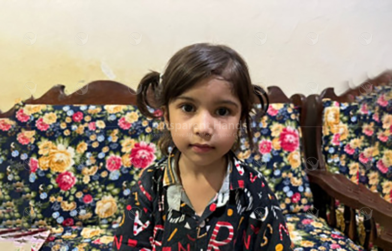 Zainab batool archieve