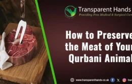 How to Preserve the Meat