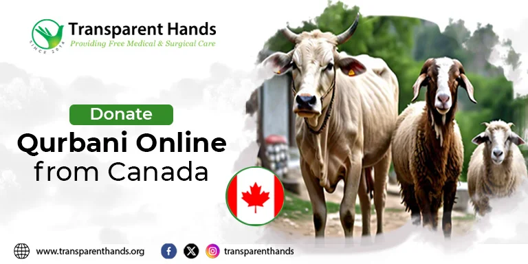 Donate Qurbani Online