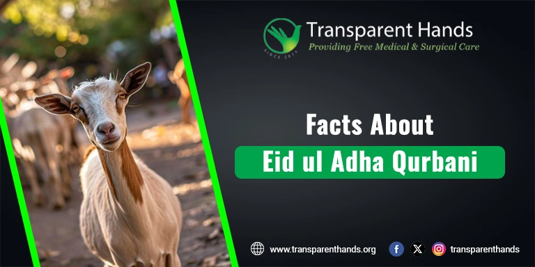 Eid ul Adha Qurbani