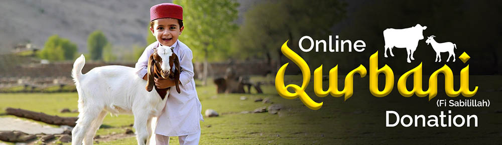 5 Best Online Qurbani Services for 2025 5 Best Online Qurbani Services for 2025