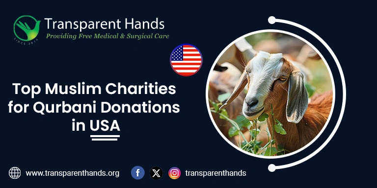 Qurbani Donations in USA
