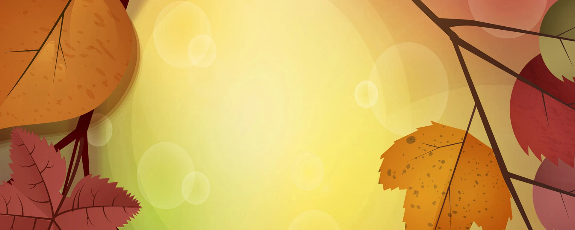 Banner image
