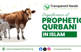 Prophetic Qurbani