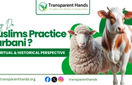 Qurbani in Islam